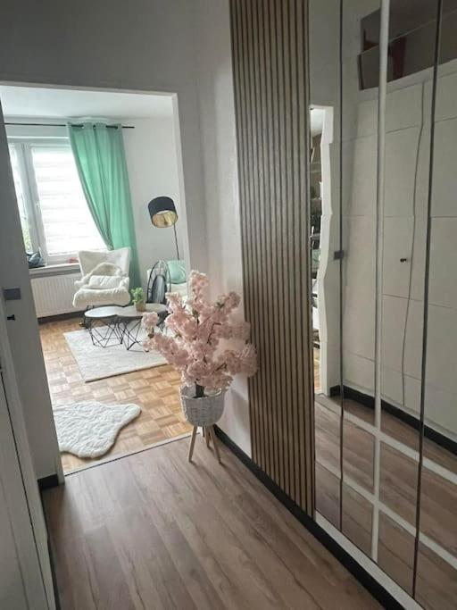 Wilhelmshoehe Alle Kassel Buitenkant foto